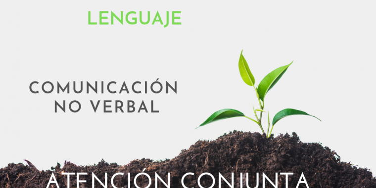 Comunicación en TEA: la comunicación no verbal